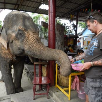 Elephant Nature Park